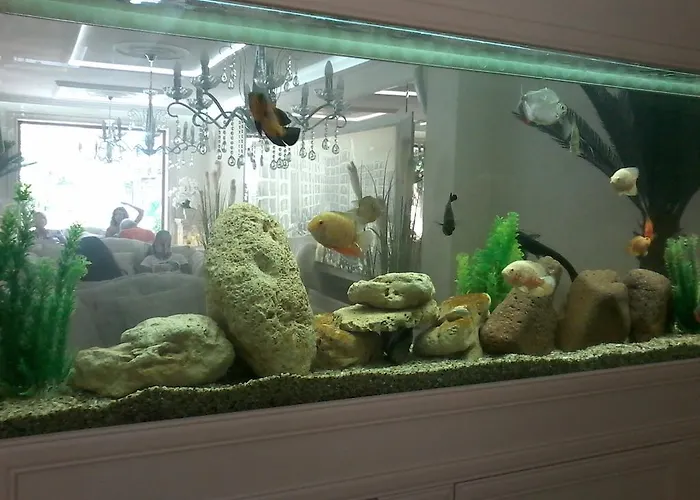 Appartement Private In Harmony Dream Island Slantchev Briag