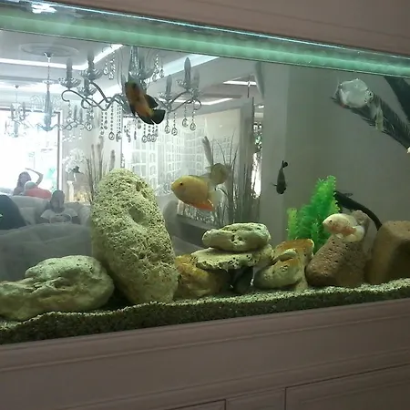 شقة Private In Harmony Dream Island ساني بيتش